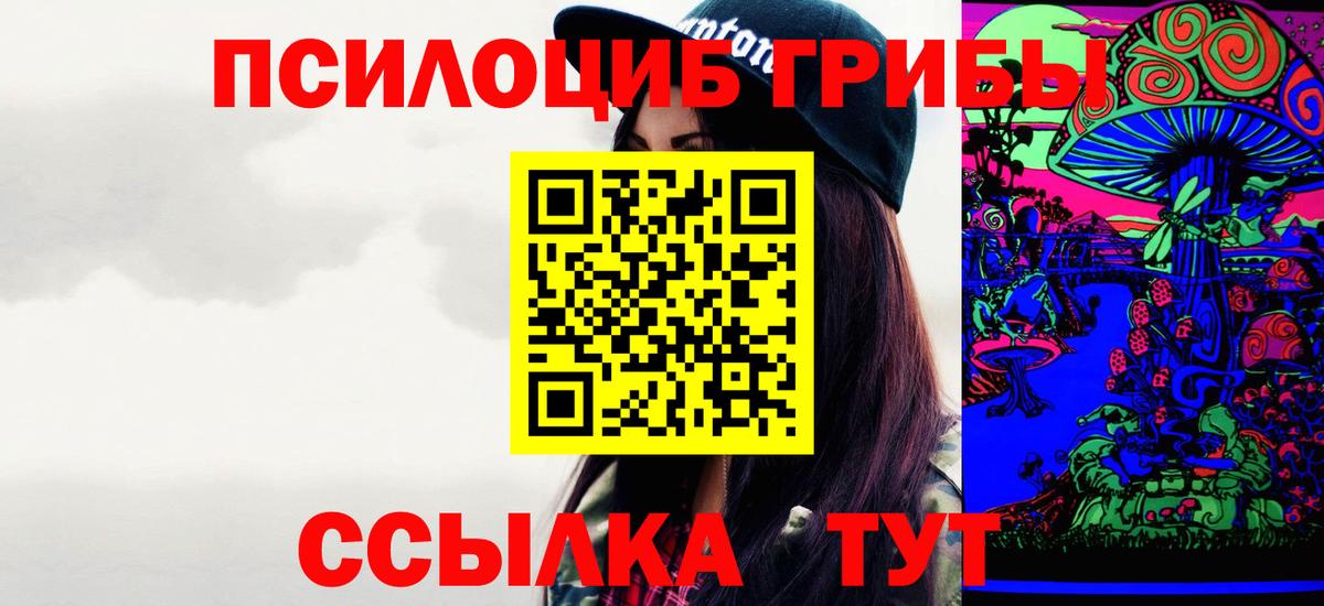 Галлюциногенные грибы Psilocybe  Вход с VPN  Борисоглебск 